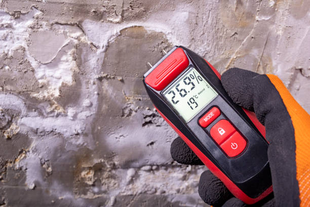 Mold Removal Process in Suffern, NY