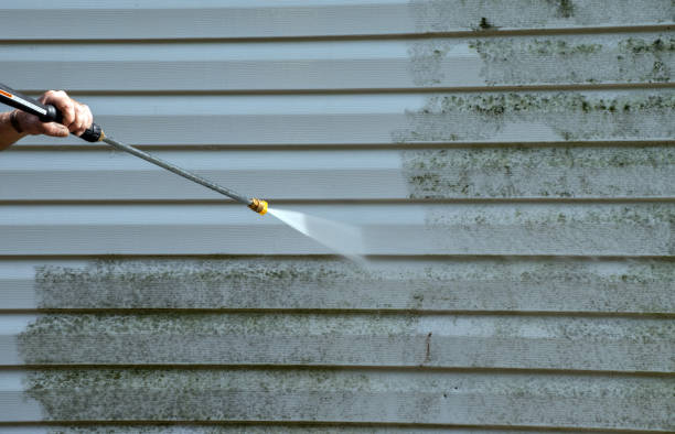 Best Mold Removal Process  in Suffern, NY
