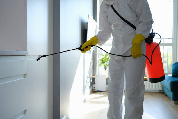 Best Commercial Mold Removal  in Suffern, NY