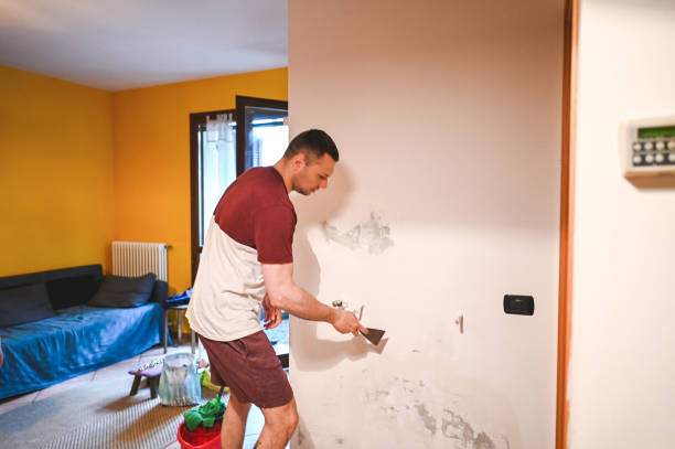 Best Black Mold Removal  in Suffern, NY
